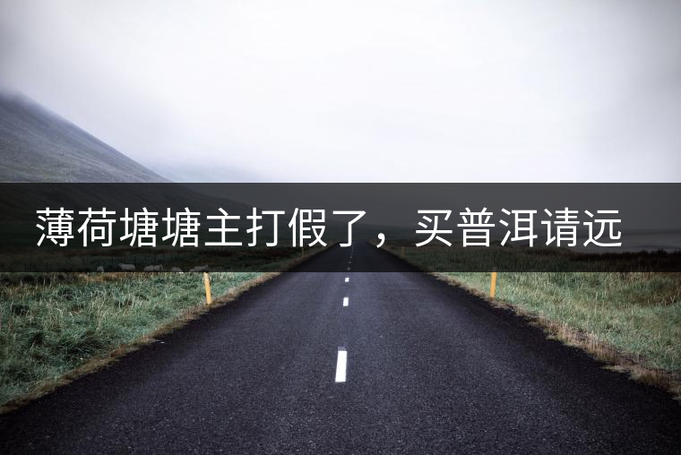 薄荷塘塘主打假了，買普洱請(qǐng)遠(yuǎn)離那些講故事的奸商