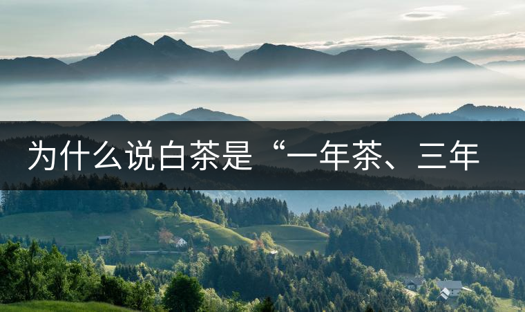 為什么說白茶是“一年茶、三年藥、七年寶”?為什么說白茶是“一年茶、三年藥、七年寶”？