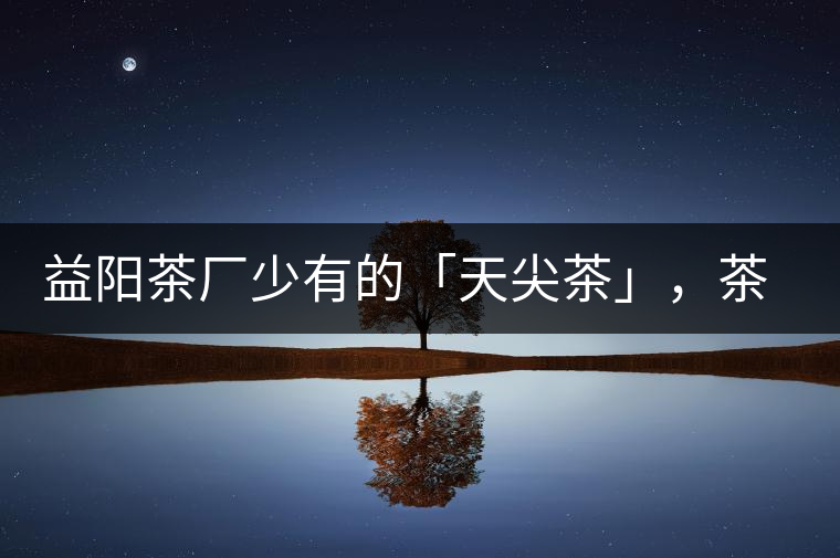 益陽茶廠少有的「天尖茶」，茶品升級，收藏趁早！