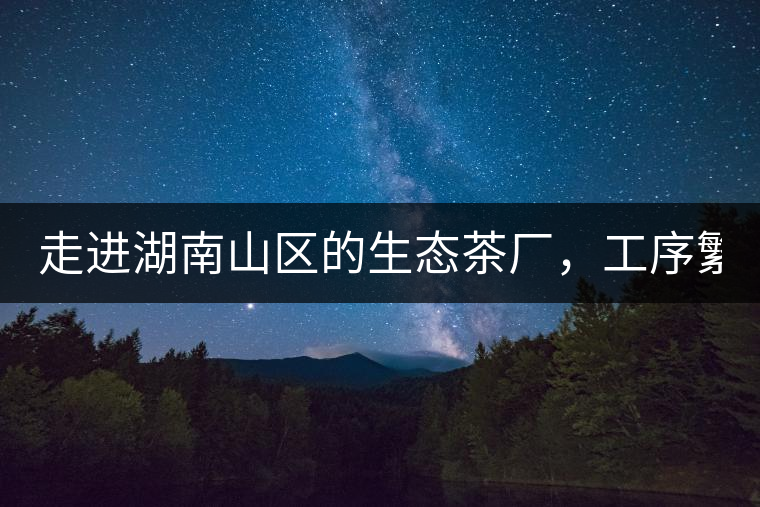 走進(jìn)湖南山區(qū)的生態(tài)茶廠，工序繁雜精細(xì)，538塊錢1斤真值走進(jìn)湖南山區(qū)的生態(tài)茶廠，工序繁雜精細(xì)，538塊錢1斤真值