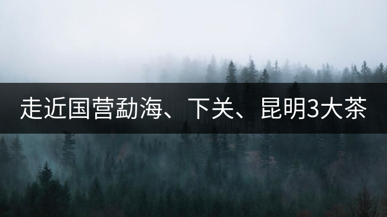 走近國(guó)營(yíng)勐海、下關(guān)、昆明3大茶廠，傳世代表作的發(fā)展詳...走近國(guó)營(yíng)勐海、下關(guān)、昆明3大茶廠，傳世代表作的發(fā)展詳解