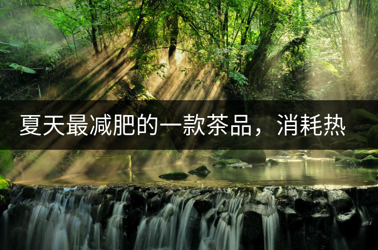 夏天最減肥的一款茶品，消耗熱量，此茶燃燒你的卡路里