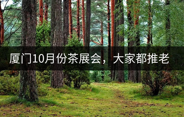廈門(mén)10月份茶展會(huì)，大家都推老茶跟各種高端手工茶器