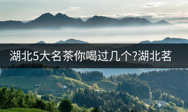 湖北5大名茶你喝過幾個?湖北茗茶的歷史故事?湖北茶哪...湖北5大名茶你喝過幾個？湖北茗茶的歷史故事？湖北茶哪個產(chǎn)地好