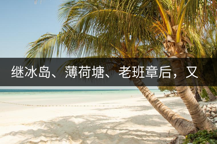 繼冰島、薄荷塘、老班章后，又一個被追捧的山頭茶火了！