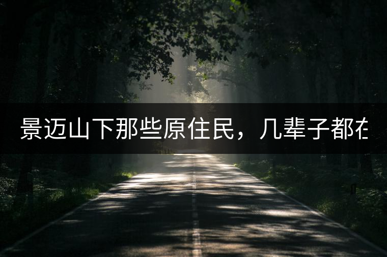 景邁山下那些原住民，幾輩子都在采茶、制茶，才有最...景邁山下那些原住民，幾輩子都在采茶、制茶，才有最好喝的普洱