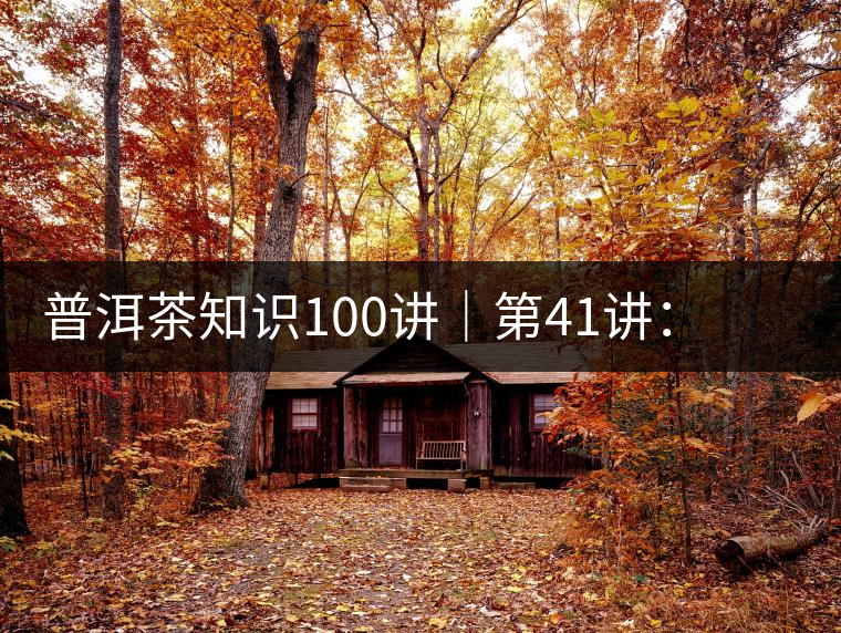 普洱茶知識(shí)100講｜第41講：孤獨(dú)的邦崴過(guò)渡型古茶王