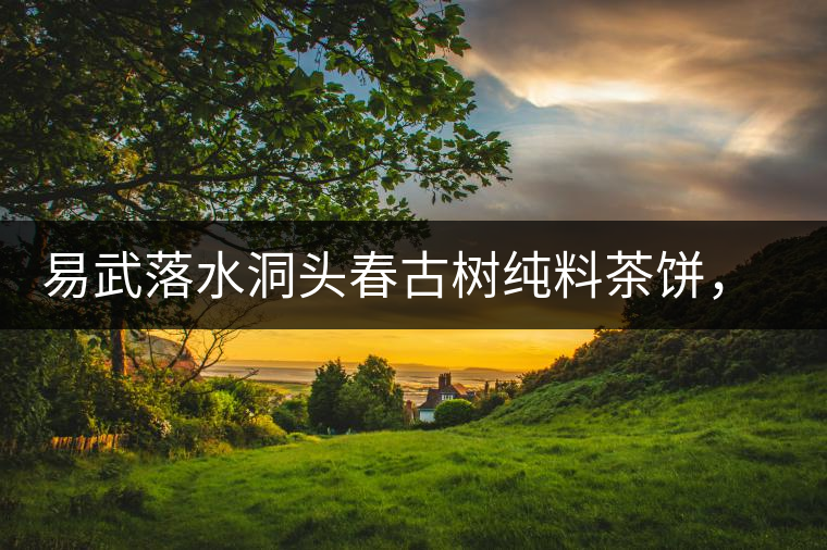 易武落水洞頭春古樹純料茶餅，實現(xiàn)原料和工藝的兩優(yōu)結(jié)合