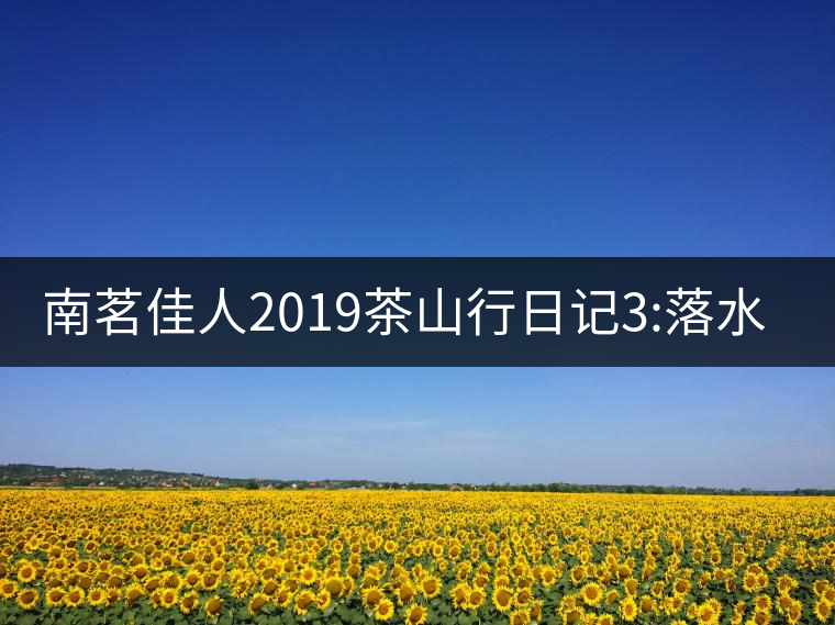 南茗佳人2019茶山行日記3:落水洞--200多年建村歷史，...南茗佳人2019茶山行日記3：落水洞——200多年建村歷史，靈動清越