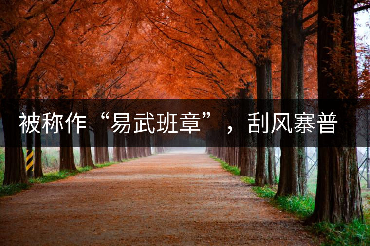 被稱作“易武班章”，刮風(fēng)寨普洱茶是否實(shí)至名歸?被稱作“易武班章”，刮風(fēng)寨普洱茶是否實(shí)至名歸？