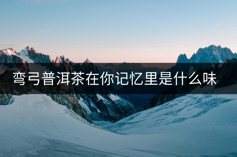 彎弓普洱茶在你記憶里是什么味道？