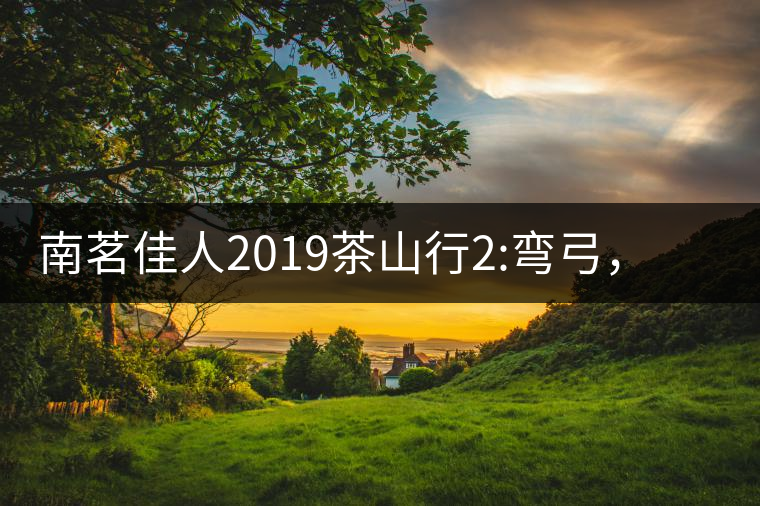 南茗佳人2019茶山行2:彎弓，一路艱辛，只為這有生命...南茗佳人2019茶山行2：彎弓，一路艱辛，只為這有生命厚度的茶！