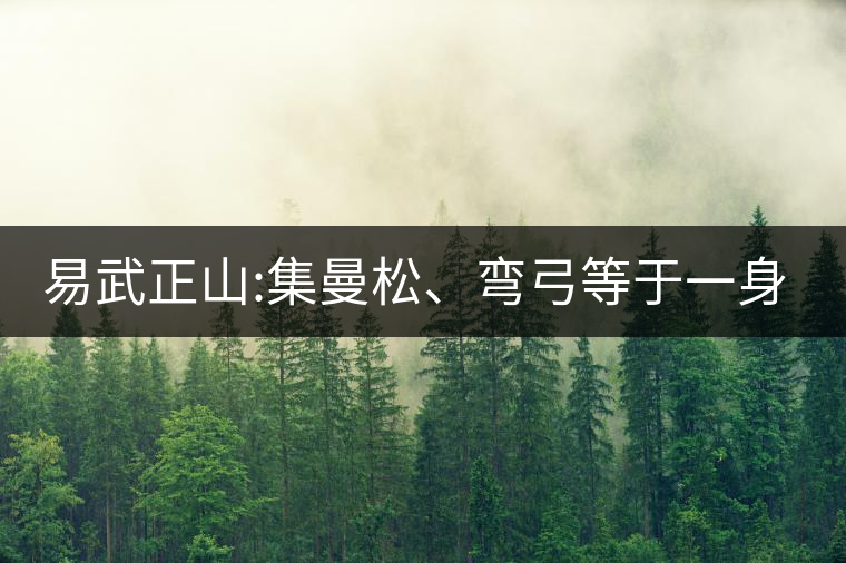 易武正山:集曼松、彎弓等于一身的貴族老黃片，好喝沒得...易武正山：集曼松、彎弓等于一身的貴族老黃片，好喝沒得說