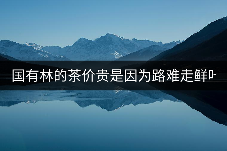 國(guó)有林的茶價(jià)貴是因?yàn)槁冯y走鮮葉難采?不怕，現(xiàn)在有它了...國(guó)有林的茶價(jià)貴是因?yàn)槁冯y走鮮葉難采？不怕，現(xiàn)在有它了！