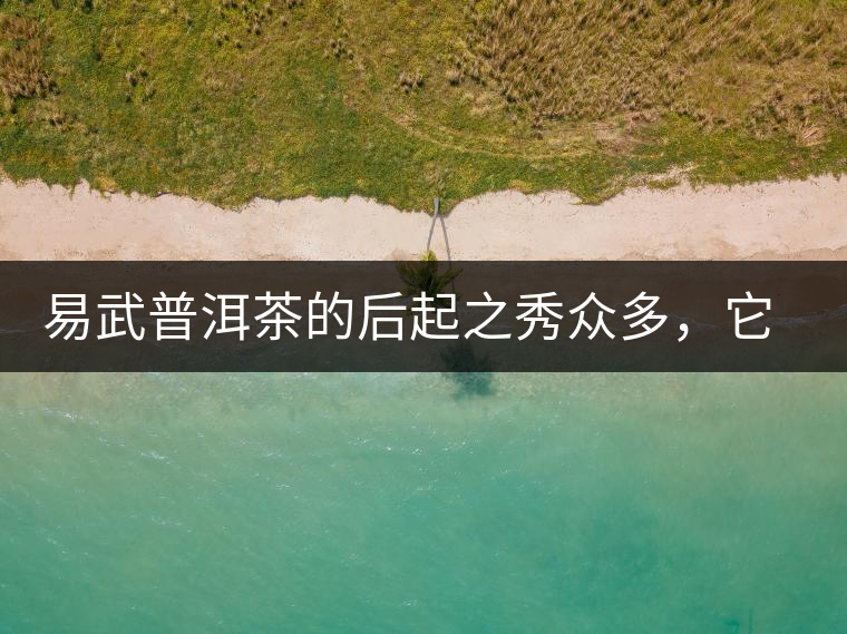 易武普洱茶的后起之秀眾多，它是還沒(méi)漲價(jià)的一個(gè)！