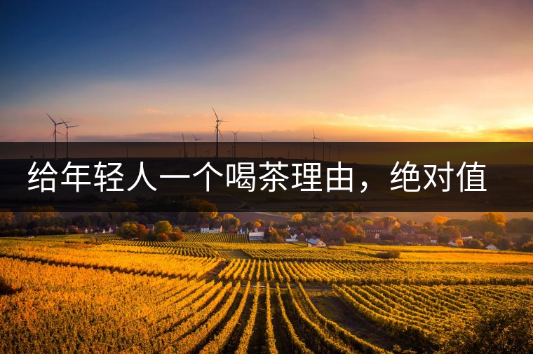 給年輕人一個喝茶理由，絕對值得收藏的茶葉包裝給年輕人一個喝茶理由，絕對值得收藏的茶葉包裝