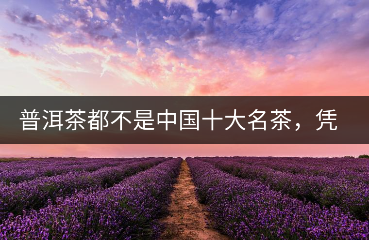 普洱茶都不是中國十大名茶，憑什么還是“可以喝的古董”