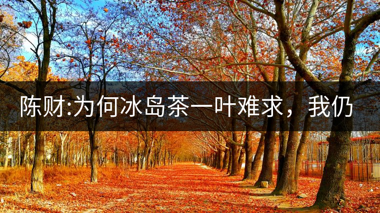 陳財:為何冰島茶一葉難求，我仍然堅持