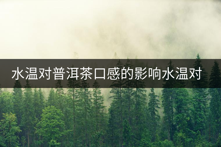 水溫對普洱茶口感的影響水溫對普洱茶口感的影響