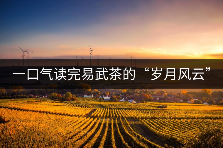 一口氣讀完易武茶的“歲月風(fēng)云” 一口氣讀完易武茶的“歲月風(fēng)云”