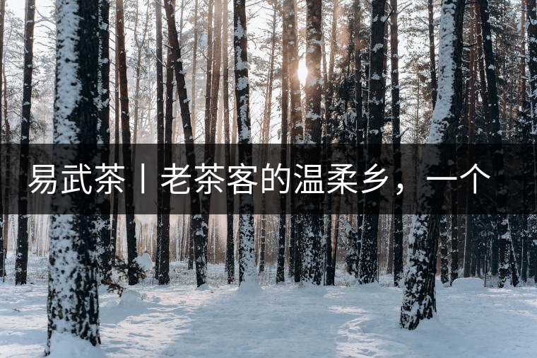 易武茶丨老茶客的溫柔鄉(xiāng)，一個(gè)“柔”字迷倒了多少英雄漢！