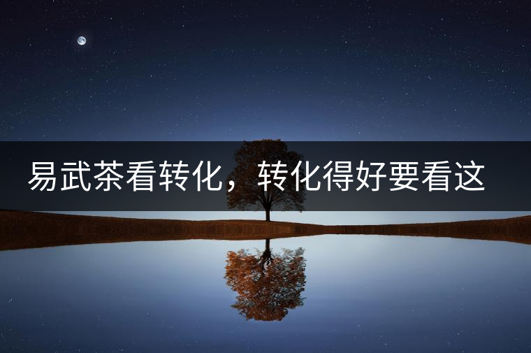 易武茶看轉(zhuǎn)化，轉(zhuǎn)化得好要看這三要素及品牌優(yōu)勢！