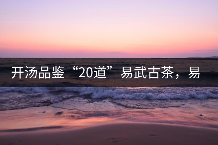 開湯品鑒“20道”易武古茶，易武茶特征你知道多少？