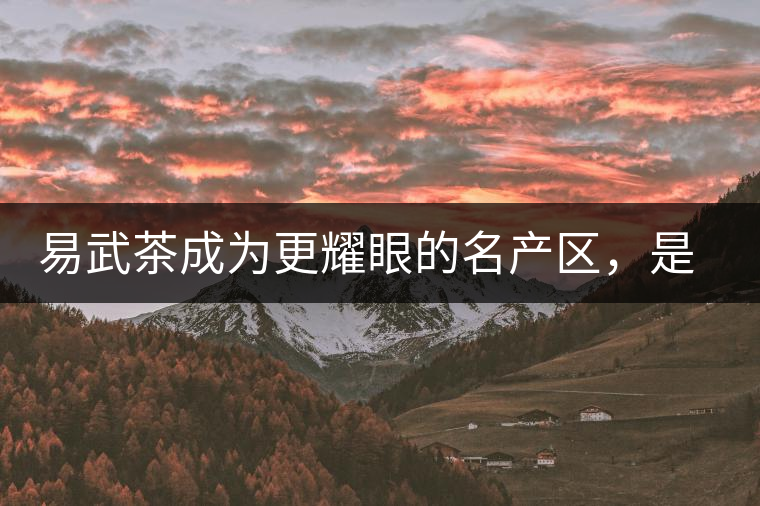 易武茶成為更耀眼的名產(chǎn)區(qū)，是歷史的回歸，是未來市場的必然導(dǎo)向