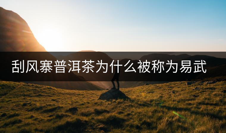 刮風寨普洱茶為什么被稱為易武茶王？