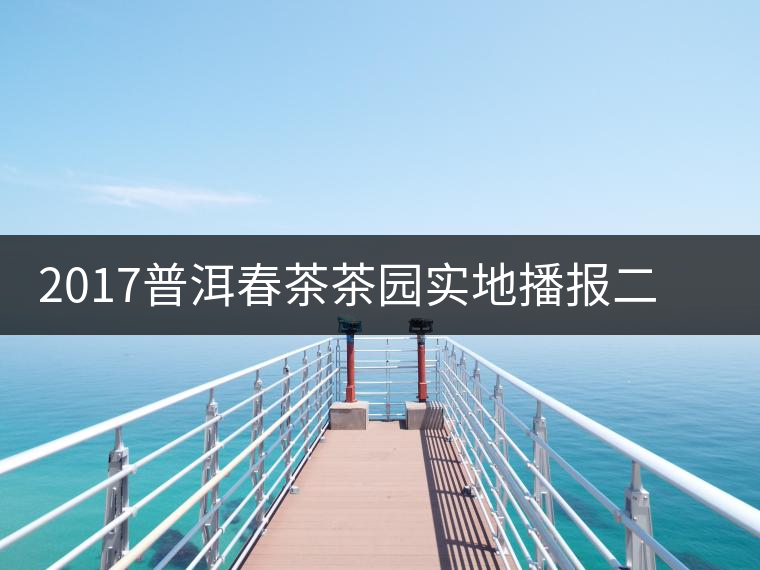 2017普洱春茶茶園實(shí)地播報(bào)二——臨倉勐庫鎮(zhèn)小戶賽