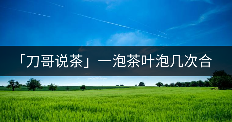 「刀哥說茶」一泡茶葉泡幾次合適?「刀哥說茶」一泡茶葉泡幾次合適？