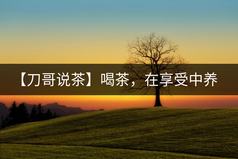 【刀哥說茶】喝茶，在享受中養(yǎng)生的最佳選擇