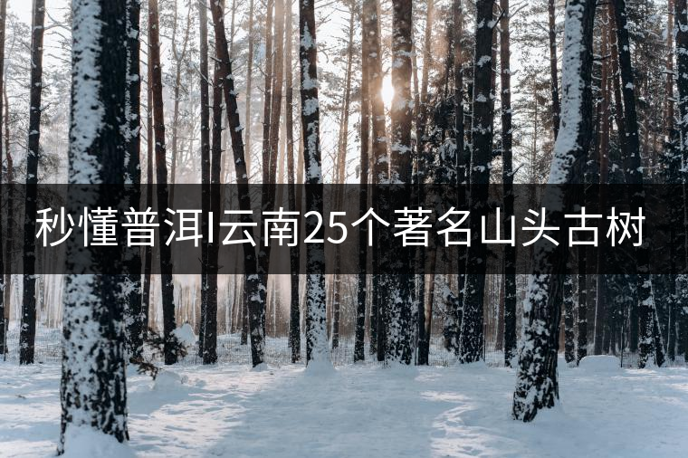 秒懂普洱I云南25個著名山頭古樹普洱茶的特點及口感!(太全了,快收藏!)