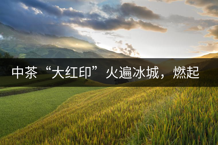 中茶“大紅印”火遍冰城，燃起普洱茶新味蕾