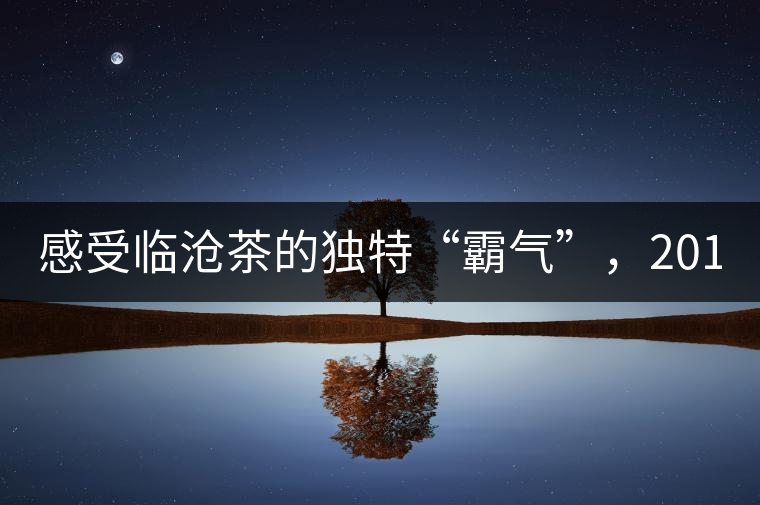 感受臨滄茶的獨特“霸氣”，2018“忙肺”帶給您不一...感受臨滄茶的獨特“霸氣”，2018“忙肺”帶給您不一樣的體驗！