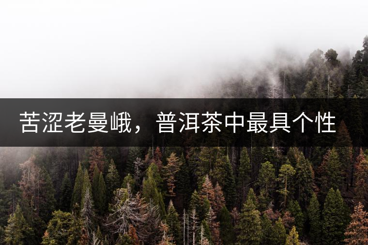 苦澀老曼峨，普洱茶中最具個(gè)性的“布朗味”苦澀老曼峨，普洱茶中最具個(gè)性的“布朗味”
