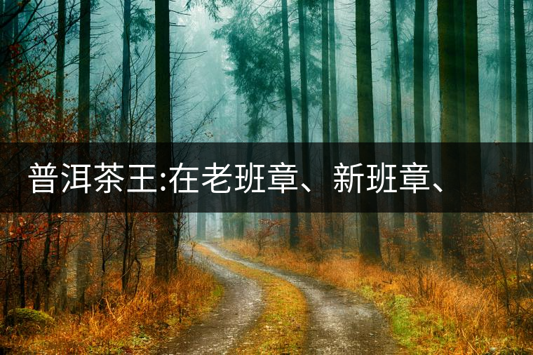 普洱茶王:在老班章、新班章、老曼峨之間普洱茶王：在老班章、新班章、老曼峨之間