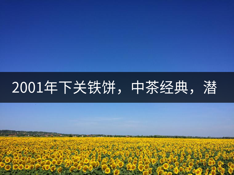 2001年下關(guān)鐵餅，中茶經(jīng)典，潛力可期!
