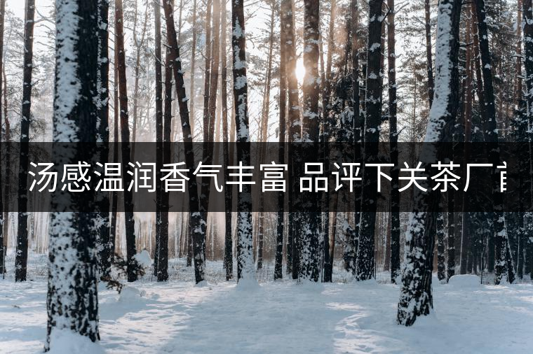 湯感溫潤香氣豐富 品評(píng)下關(guān)茶廠首批8653湯感溫潤香氣豐富 品評(píng)下關(guān)茶廠首批8653