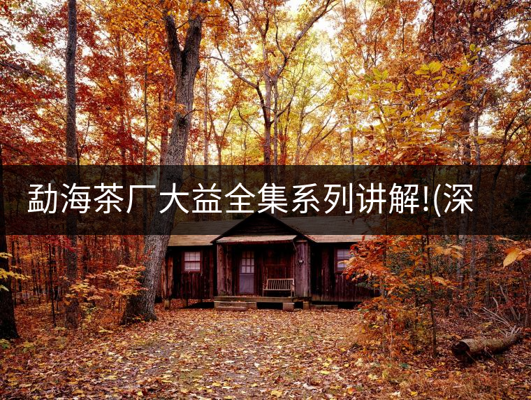 勐海茶廠大益全集系列講解!(深度講解大益茶品，建議收藏...勐海茶廠大益全集系列講解?。ㄉ疃戎v解大益茶品，建議收藏）