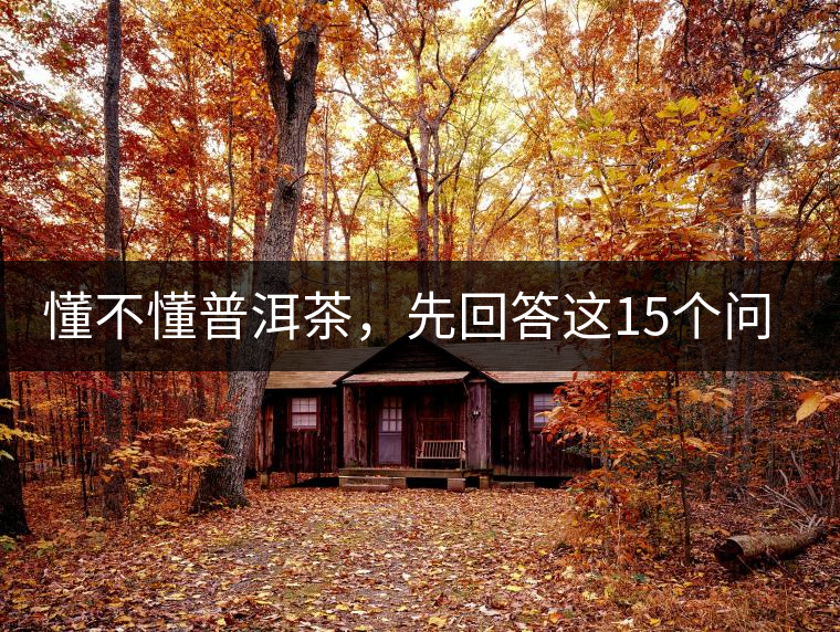 懂不懂普洱茶，先回答這15個問題試試？
