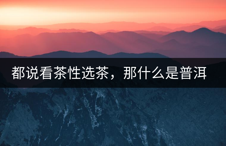 都說看茶性選茶，那什么是普洱茶的“茶性”呢？