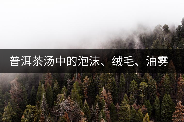 普洱茶湯中的泡沫、絨毛、油霧、絮狀物……原來是這些東西！