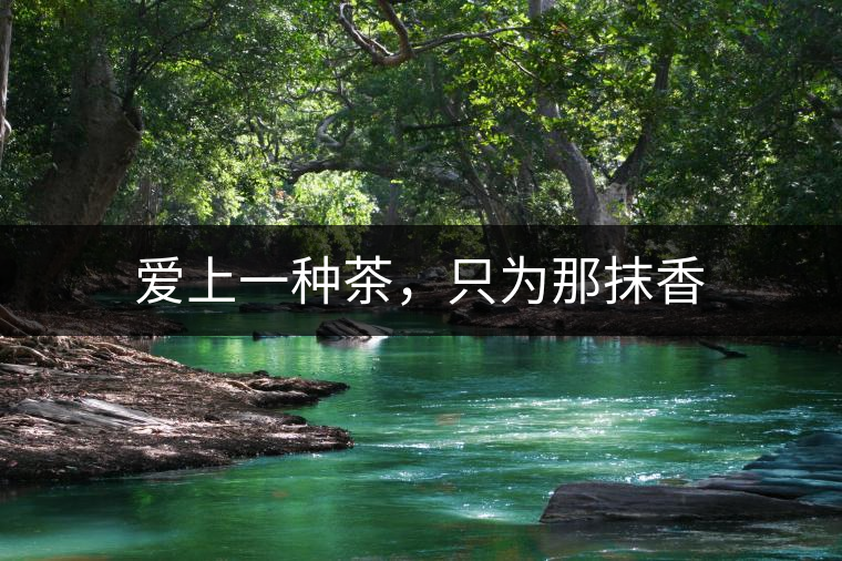 愛上一種茶，只為那抹香