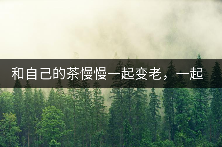 和自己的茶慢慢一起變老，一起變好