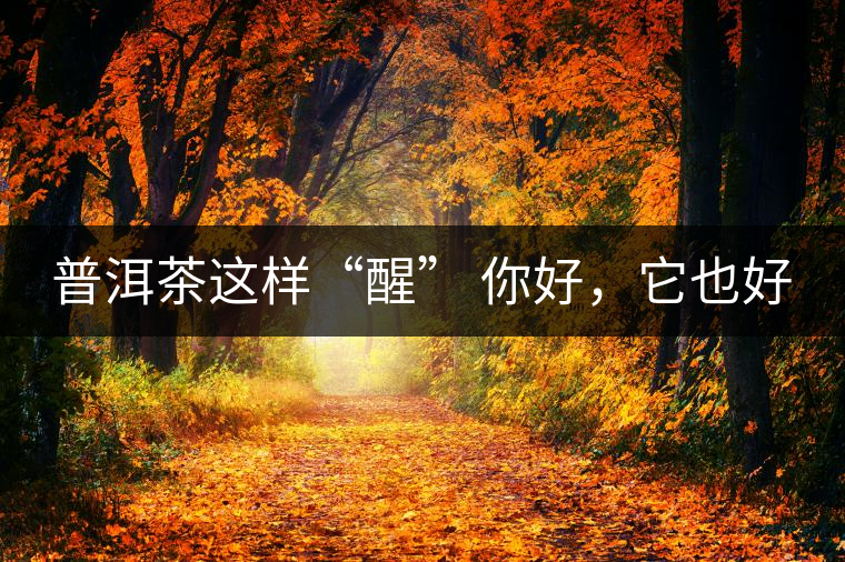 普洱茶這樣“醒” 你好，它也好