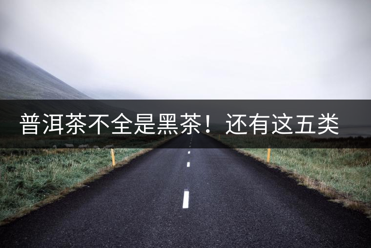 普洱茶不全是黑茶！還有這五類茶，現(xiàn)在知道還不算晚