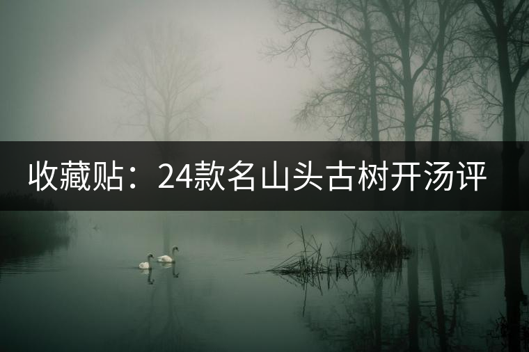 收藏貼:24款名山頭古樹(shù)開(kāi)湯評(píng)測(cè) 收藏貼:24款名山頭古樹(shù)開(kāi)湯評(píng)測(cè)