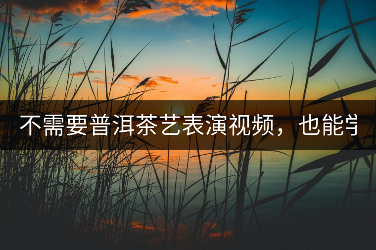 不需要普洱茶藝表演視頻，也能學(xué)會(huì)的茶藝！