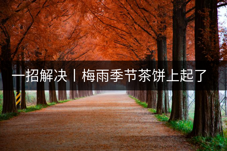 一招解決丨梅雨季節(jié)茶餅上起了白霜白點怎么辦？